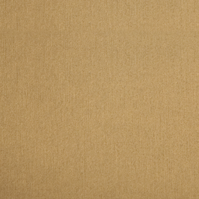 Bild zu Farbe BAP001 Gold gebürstet