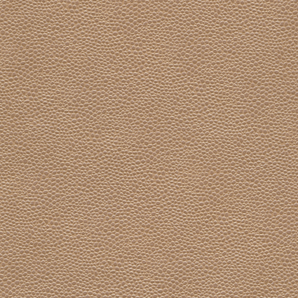 Bild zu Farbe BAP021 Beige