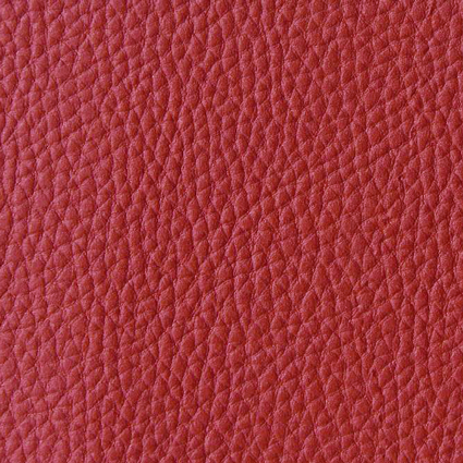 Bild zu Farbe AT009 Rubinrot