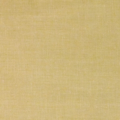 Bild zu Farbe LI035 Hellgrün (Leinen)