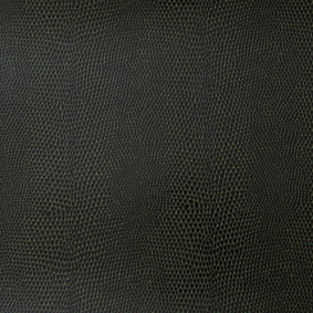 Bild zu Farbe BA012 Grün-Snake