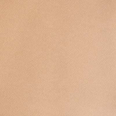 Bild zu Farbe BAP040 Beigebraun