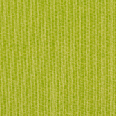 Bild zu Farbe LI024 Gelbgrün (Leinen)