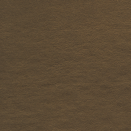 Bild zu Farbe BAP026 Grüngelb