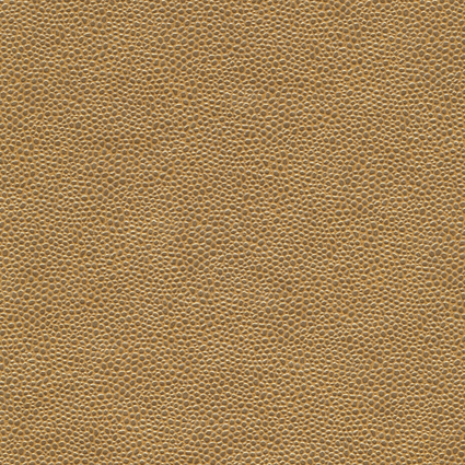 Bild zu Farbe BAP020 Gold