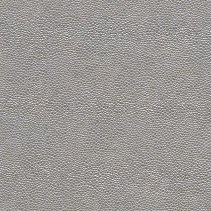 Bild zu Farbe BAP023 Silber