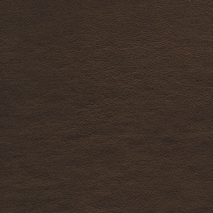 Bild zu Farbe BAP027 Dunkelbraun