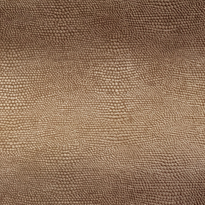 Bild zu Farbe BAP035 Goldbraun